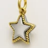Dije dorado en forma de estrella con detalle blanco